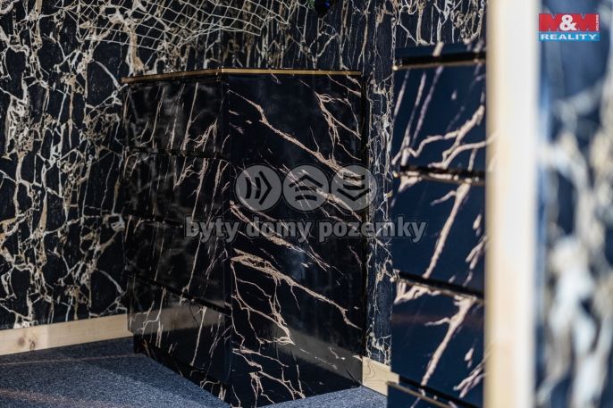 Pronájem, Restaurace, stravování, Benešov