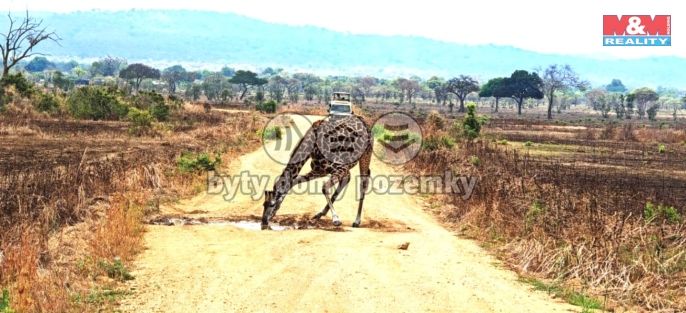 Prodej, Rodinný dům, Ostrov