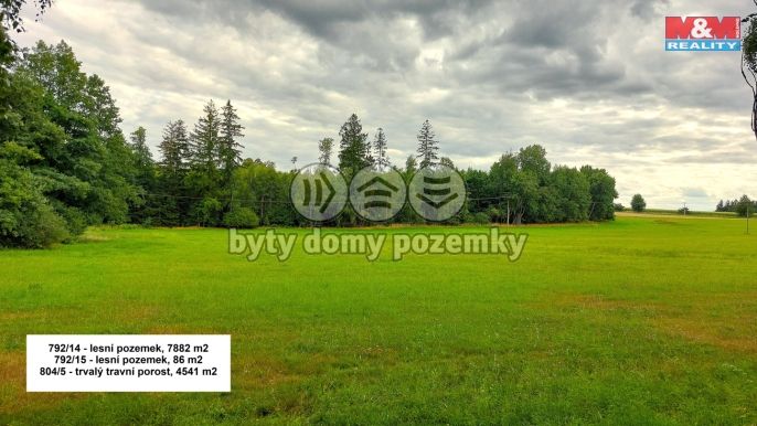 Prodej, Les, Štoky
