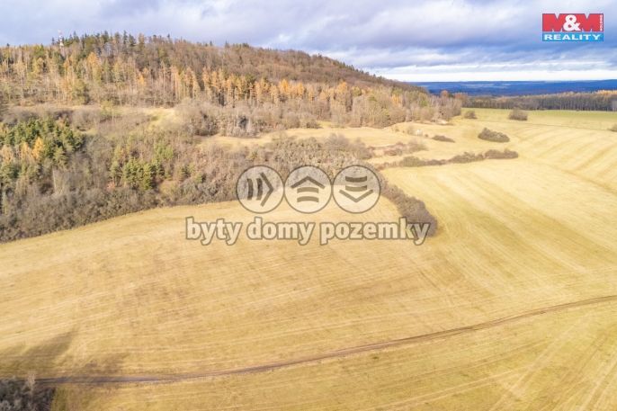 Prodej, Louka, Kublov