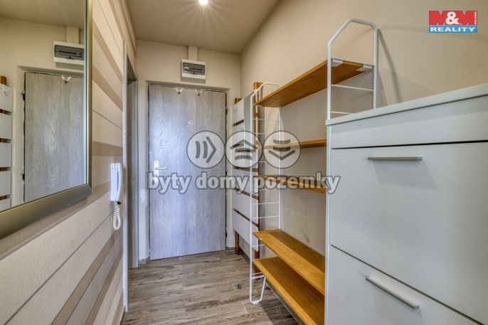 Pronájem, Byt 1+kk, Dobřany