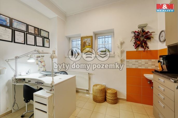 Pronájem, Obchod a služby, Plzeň