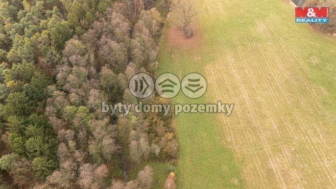 Prodej, Les, Týniště nad Orlicí