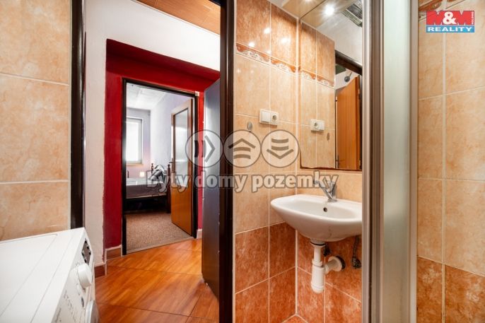 Prodej, Byt 3+1, Čistá