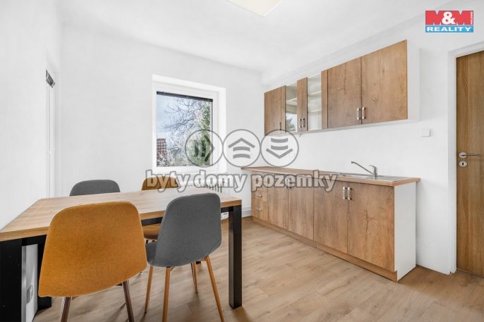 Pronájem, Byt 1+kk, Plazy