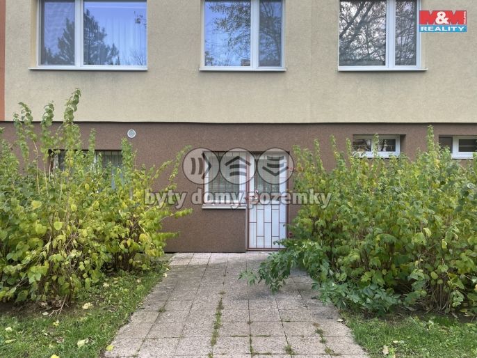 Pronájem, Ostatní, Most