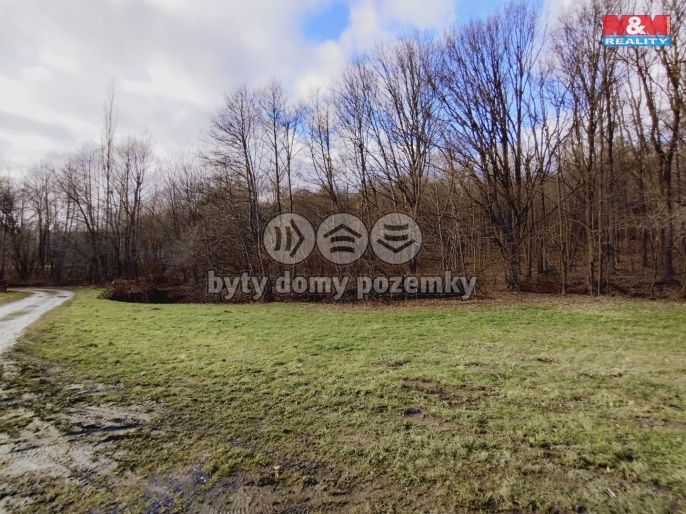 Pronájem, Louka, Slatina