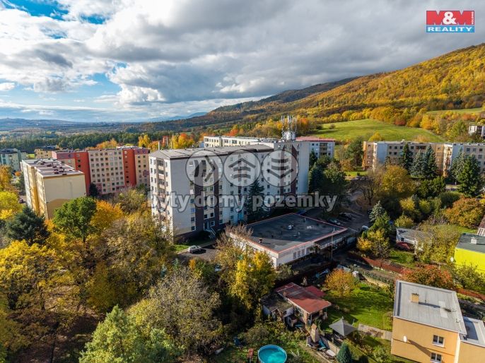 Prodej, Byt 1+kk, Chlumec