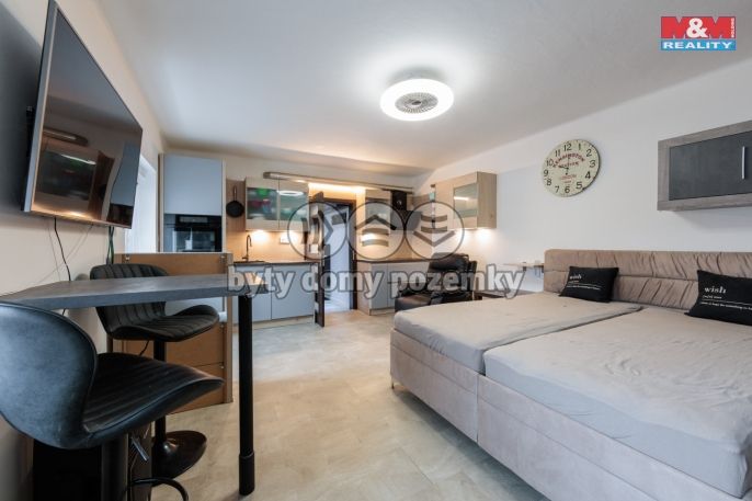 Prodej, Byt 1+kk, Svatava