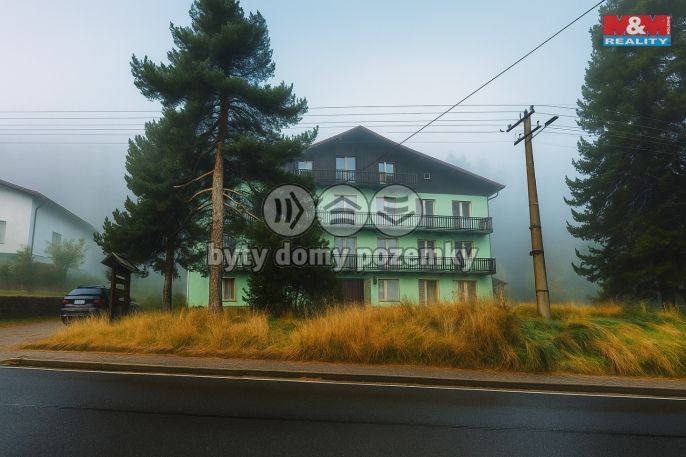 Prodej, Hotel, penzion, Železná Ruda