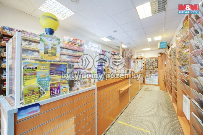 Pronájem, Obchod a služby, Plzeň