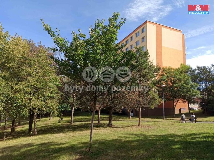 Pronájem, Ostatní, Most