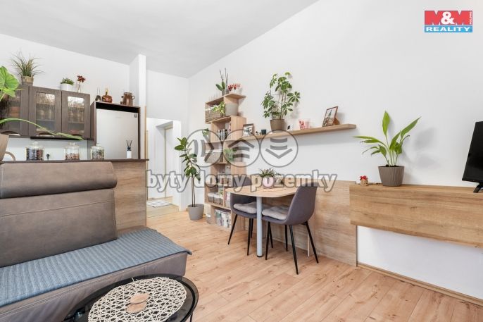 Prodej, Byt 2+1, Mladá Boleslav