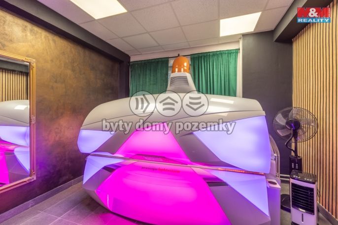 Pronájem, Obchodní objekt, Louny