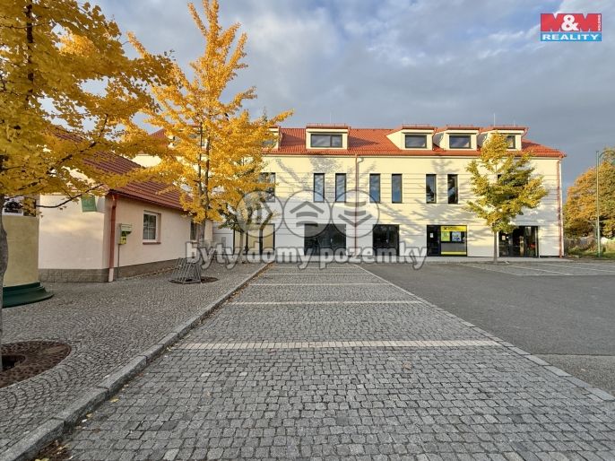 Pronájem, Obchod a služby, Blatná