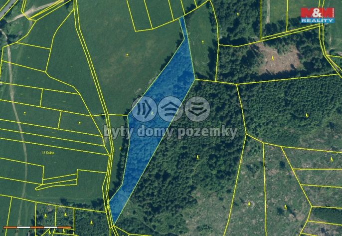 Prodej, Les, Kolinec