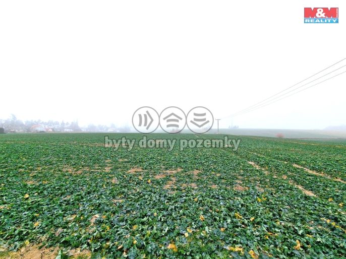 Prodej, Pozemek k bydlení, Štěpánkovice