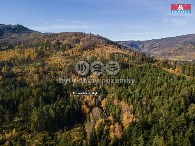 Prodej, Pastvina, Milíkov