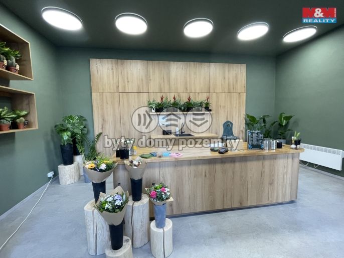 Prodej, Rodinný dům, Louny