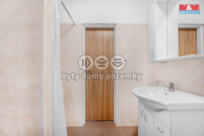 Pronájem, Byt 1+kk, Plazy