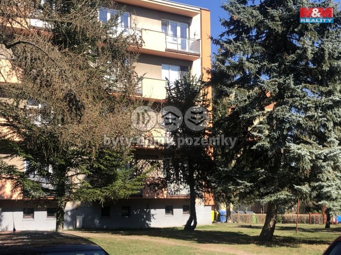 Pronájem, Byt 3+1, Dobruška