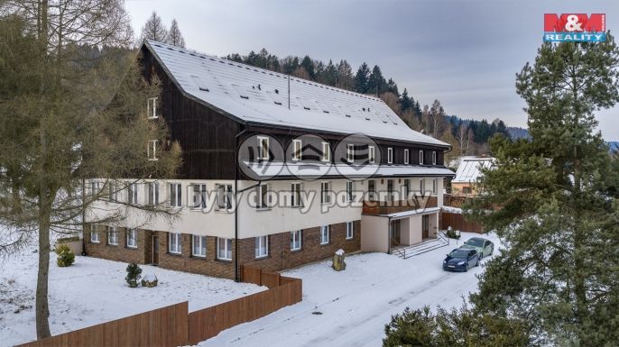 Prodej, Hotel, penzion, Borušov