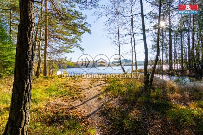 Prodej, Chata, Nová Bystřice