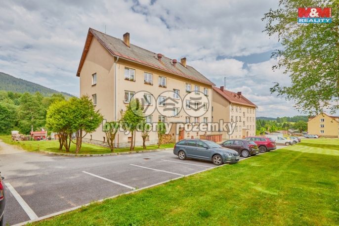 Prodej, Byt 2+1, Horní Vltavice