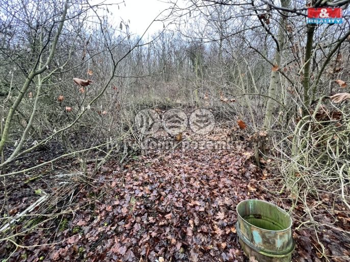 Prodej, Pozemek k bydlení, Bílina