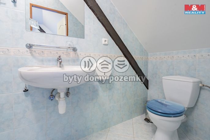 Prodej, Hotel, penzion, Třeboň