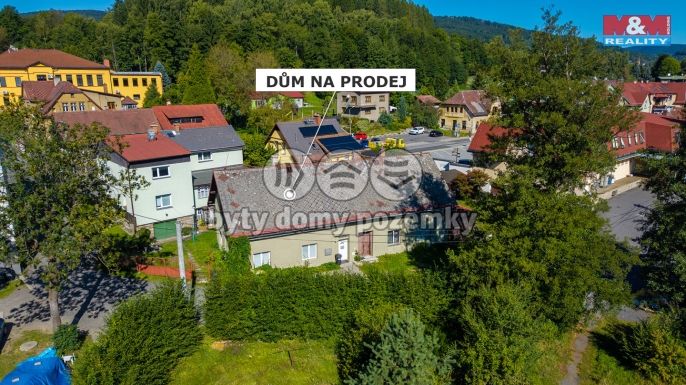 Prodej, Rodinný dům, Plavy
