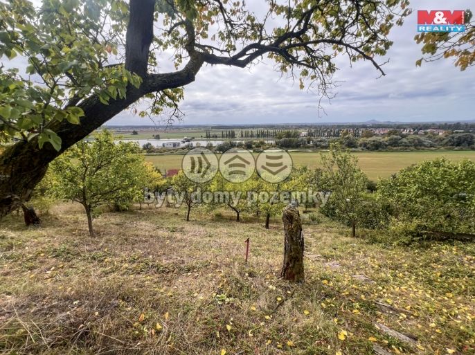 Prodej, Chata, Litoměřice