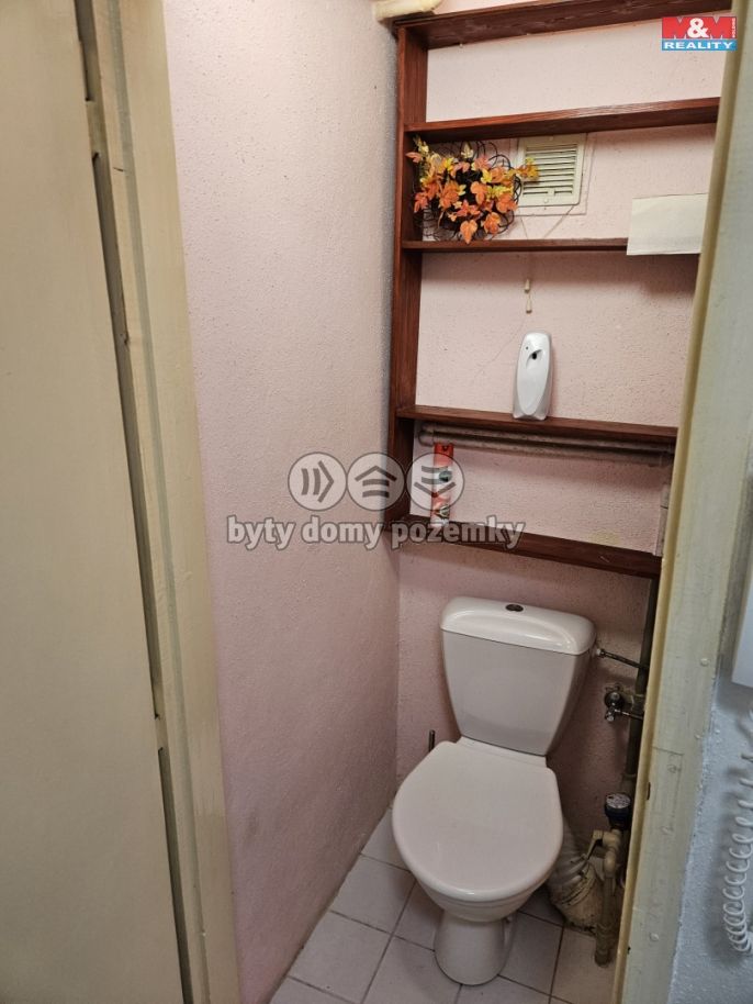 Pronájem, Byt 1+kk, Nové Strašecí