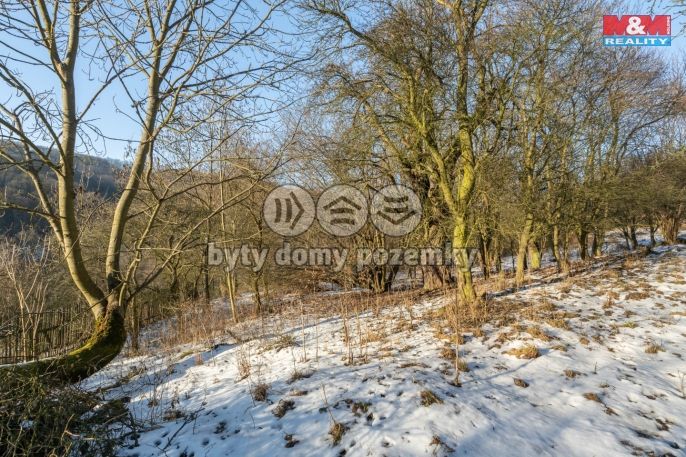 Prodej, Zahrada, Ryjice