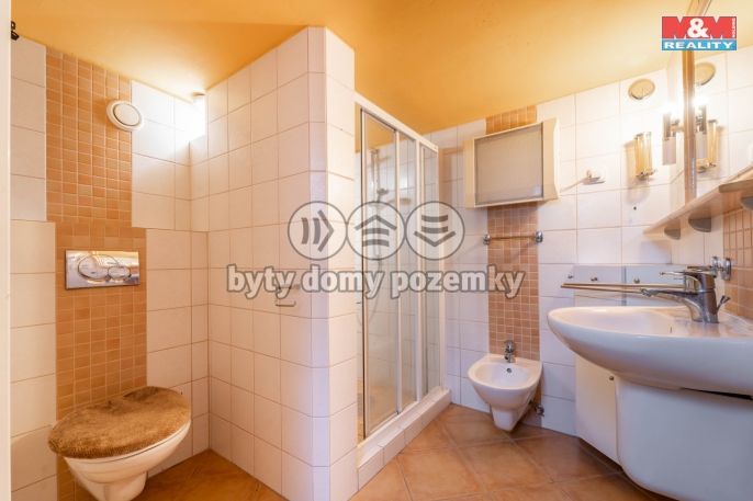 Prodej, Obchodní objekt, Bechyně