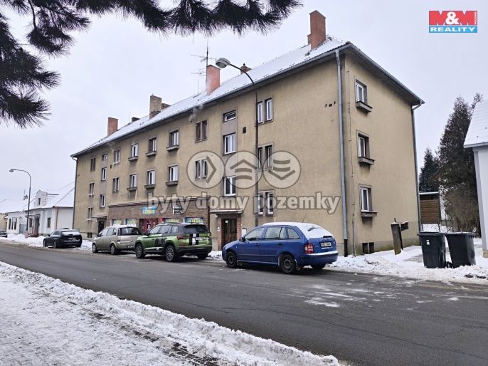 Prodej, Byt 2+1, Pacov