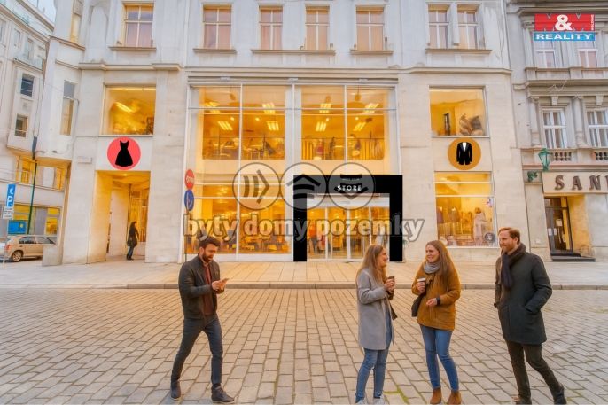 Pronájem, Obchod a služby, Plzeň