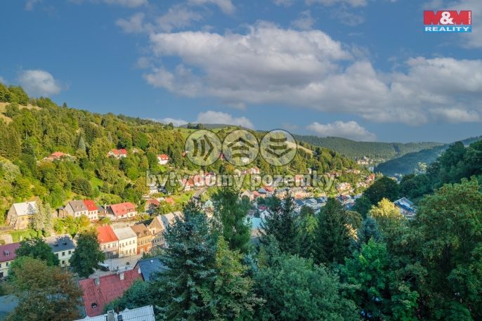 Prodej, Byt 1+kk, Jáchymov
