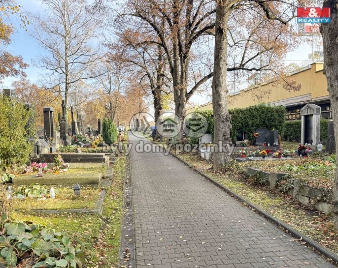 Prodej, Ostatní, Plzeň