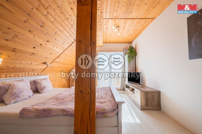 Prodej, Hotel, penzion, Chocnějovice