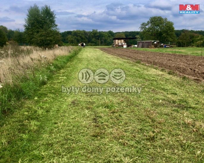 Prodej, Pole, Přísnotice