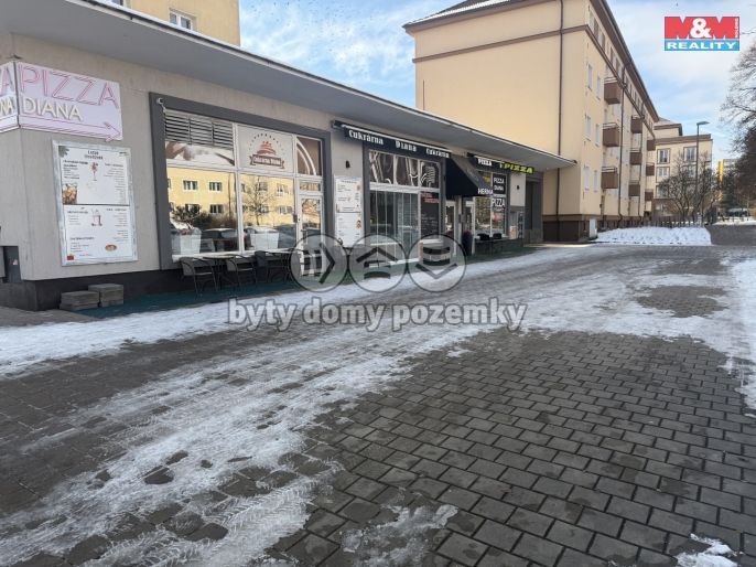 Pronájem, Ostatní, Kladno