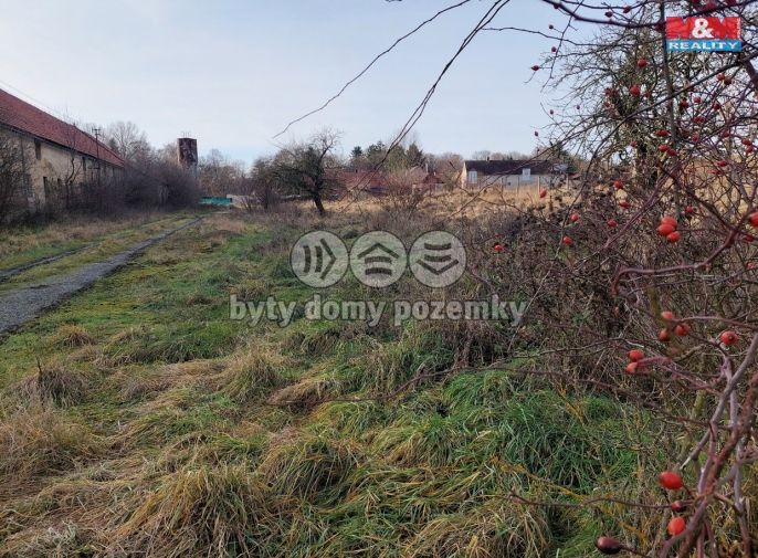 Prodej, Zemědělská usedlost, Třebovle