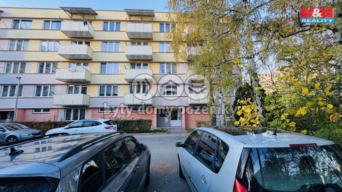 Pronájem, Byt 3+1, České Budějovice