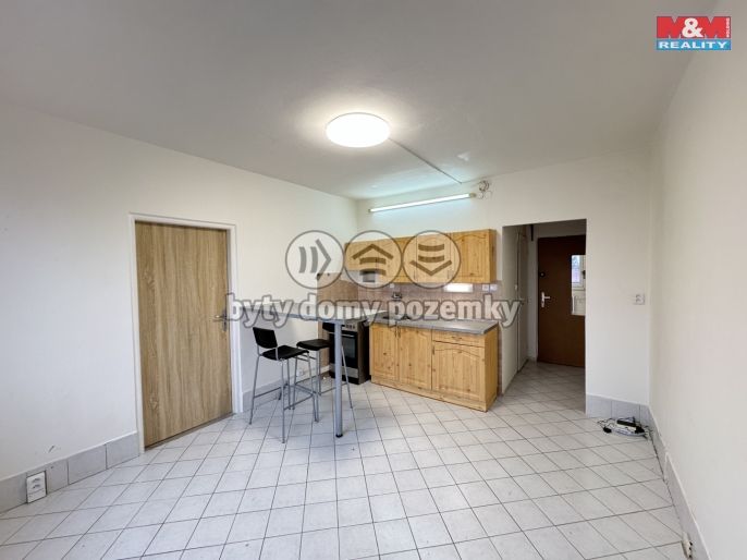 Prodej, Byt 1+1, České Budějovice