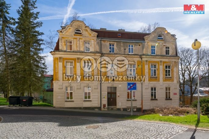 Pronájem, Byt 1+kk, Aš