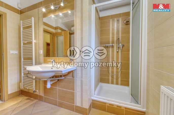 Prodej, Rodinný dům, Zruč-Senec