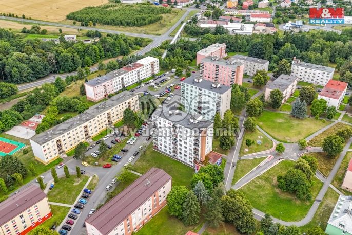 Pronájem, Byt 2+1, Planá