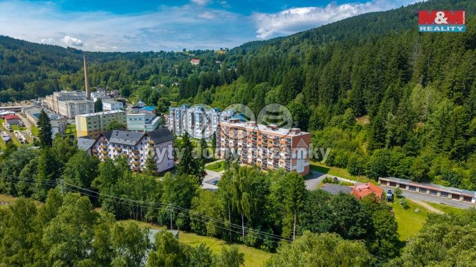 Prodej, Byt 1+kk, Jiřetín pod Bukovou