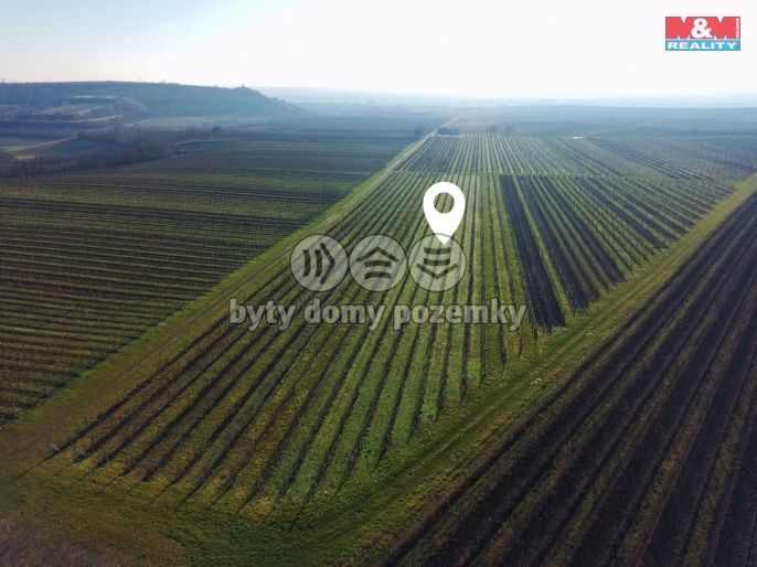 Prodej, Vinice, Velké Bílovice